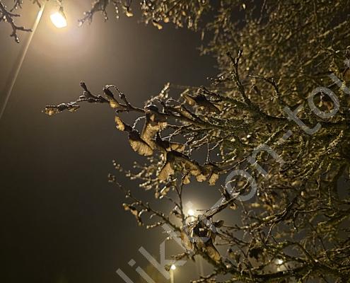 74 - 20260112_211847