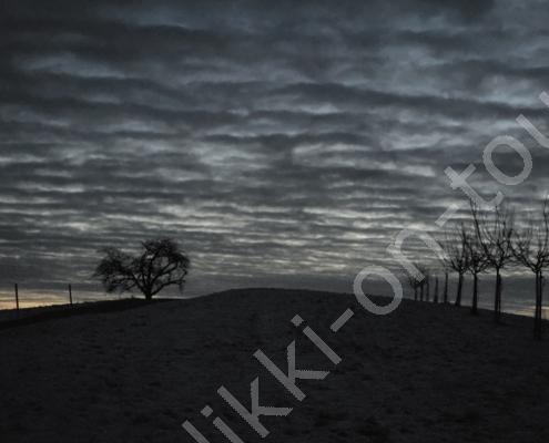 77 - 20260106_072640