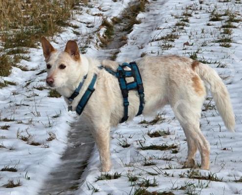 79 - 20260113_113039