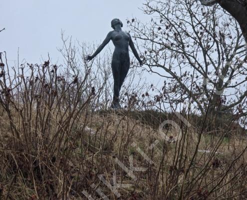 93 - 20260114_091331