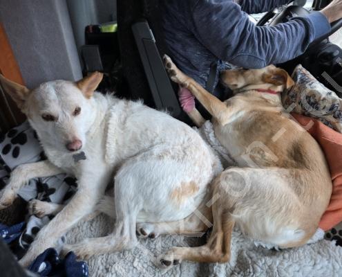 99 - 20260114_143553