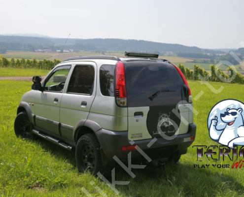 D32P9815 - Kopie - Kopie