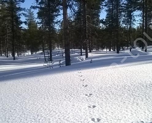 Created with Nokia Smart Cam