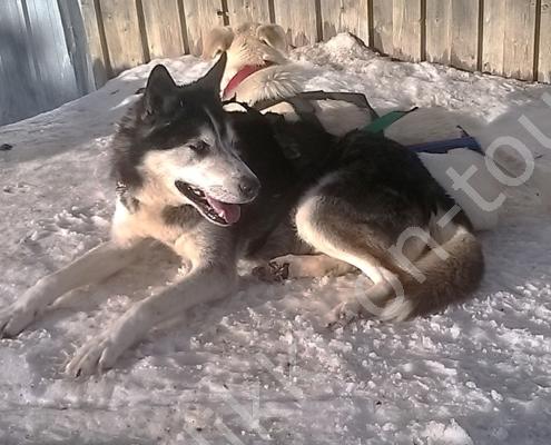 Created with Nokia Smart Cam