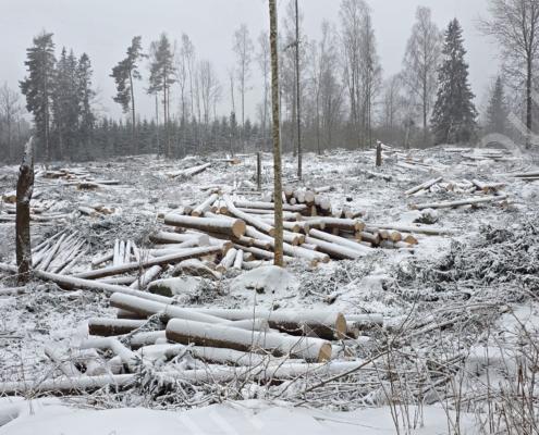 20260207_134843 (002)