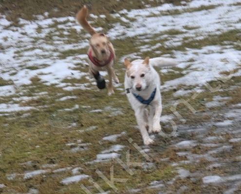 20260228_080543 - Kopie