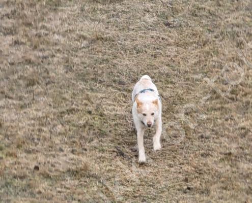 20260302_080409 - Kopie