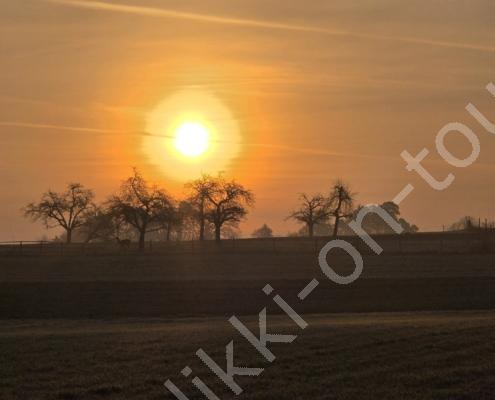 20260324_065424(1)(1)