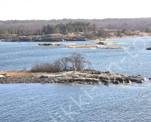 20260329_155128(1)(1)