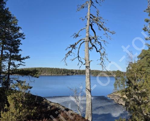 20260330_163137(1)(1)