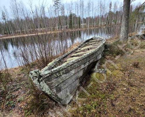 20260331_124117(1)(1)