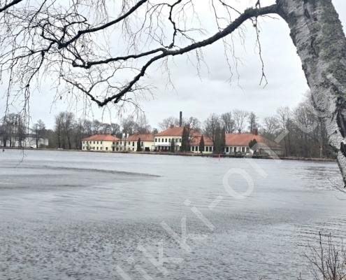 20260405_173913(1)(1)