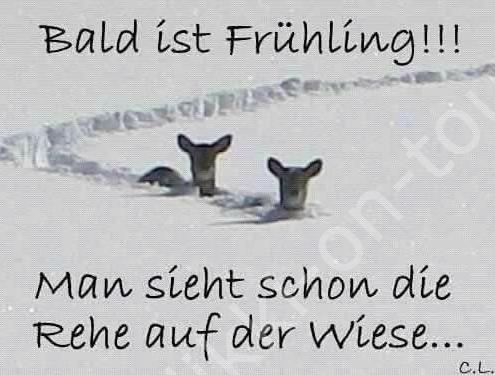 3ec4624a29f4530a5371e9b88fdd548c