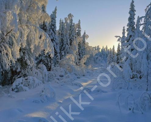 d4d8c6ad8f034b28df0470f10ef5e9cc