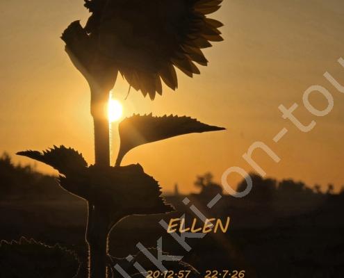 20260712_060906(1)